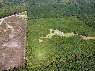 0 State Highway 790, Ackerman, MS 39735 - photo 4