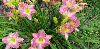 932 Pinkham Brook Rd, Durham, ME 04222 - photo 4