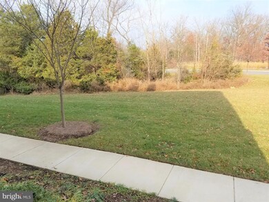 42802 San Sebastian Terrace, Chantilly, VA 20152 - photo 7