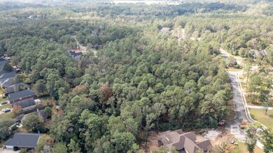 0 Beau Chene Ct unit 44 376470, Daphne, AL 36526 - photo 4