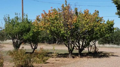 ftuit trees