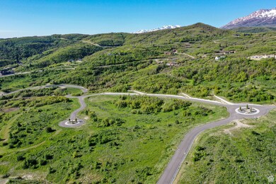 Aerial view of property's location with a mountain backdrop and a heavily wooded area