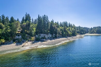 12808 Drayton Rd, Anderson Island, WA 98303 - photo 2