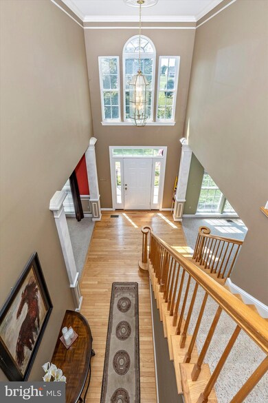 3106 Mcbride Ct, Burtonsville, MD 20866 - photo 4