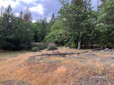 14991 California 3, Hayfork, CA 96041 - photo 6