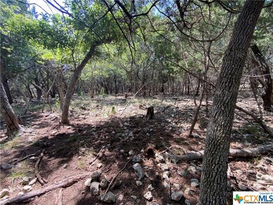 16264 Charlya Dr, Temple, TX 76502 - photo 3