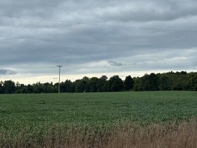 5160 Quackenbush Rd, Reading, MI 49274 - photo 4