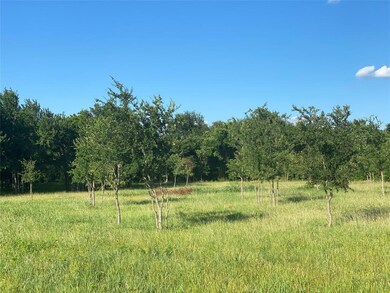 7270 Old Millsap Rd, Millsap, TX 76066 - photo 2