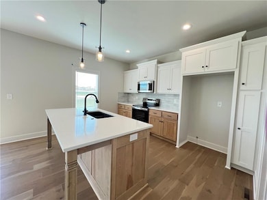 18867 W 169th St, Olathe, KS 66062 - photo 2