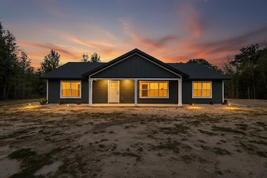 4906 NW 36th St, Bell, FL 32619 - photo 2