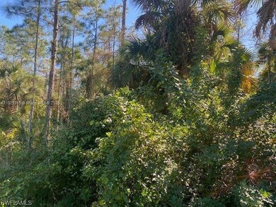 0 Shady Hollow Blvd E unit A11829710, Naples, FL 34120 - photo 3