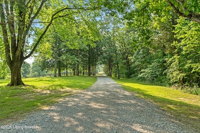 410 Cedar Flats Rd, Battletown, KY 40104 - photo 3