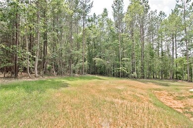 View of the backyard with mature trees!