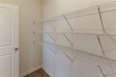 Walk in closet featuring dark wood-type flooring