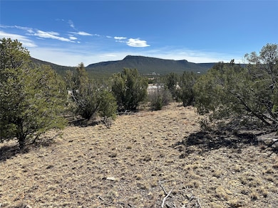 4.872 Acres Fronxtage Rd 2116, Serafina, NM 87569 - photo 3