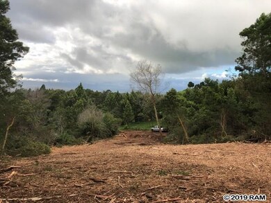 0 Haleakala Hwy unit Lot 37 384266, Kula, HI 96790 - photo 2