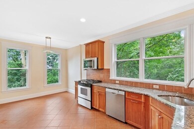 275 Mason Terrace unit L, Brookline, MA 02446 - photo 5