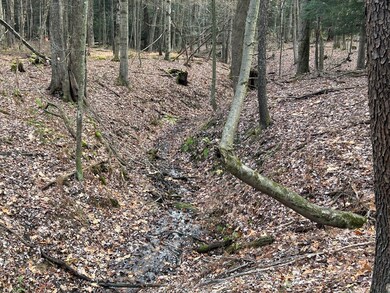 0 Miola Rd, Clarion, PA 16214 - photo 6