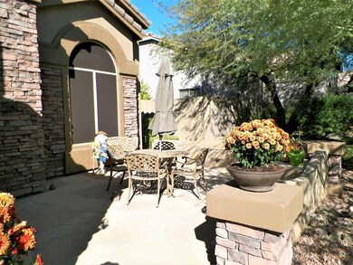 desert oasis (65)