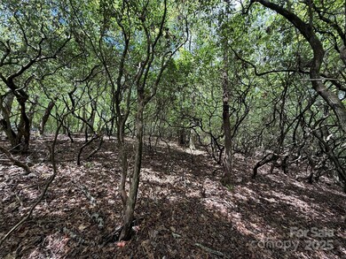 TBD Tellico Trail unit 42/22, Brevard, NC 28712 - photo 5