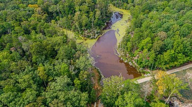 405 Youngling Place, Dunnsville, VA 22454 - photo 5