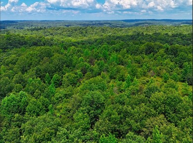 0 Shores Trail unit RTC3000429, Stewart, TN 37175 - photo 5