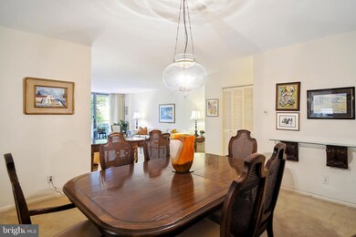 Kenwood Condominium, Bethesda, MD 20816 - photo 6