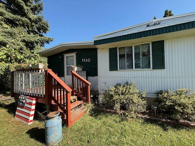 1110 11th Ave SE, Devils Lake, ND 58301 - photo 4