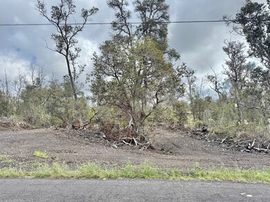 The middle of the circle driveway on Lot 25 Block 80 Paradise Parkway.