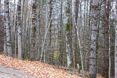 0 Darling Hill Rd unit 4691630, Burke, VT 05832 - photo 5