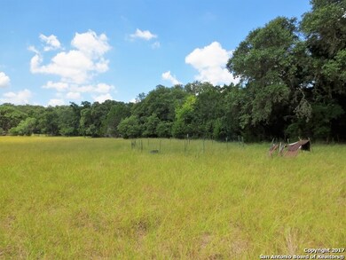 TRACT 13 County Road 251, Hondo, TX 78861 - photo 6