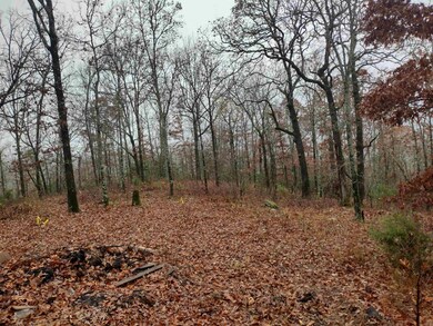 285 Rippling Shoals Ln, Melbourne, AR 72556 - photo 4