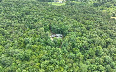 Additional View