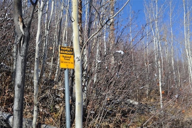 The northern boundary of the lot is adjacent to Ro
