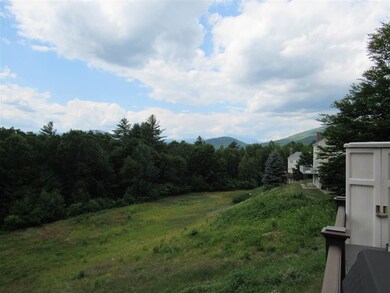 46-1 Merriman Forest Dr unit 46-1, Bartlett, NH 03845 - photo 5