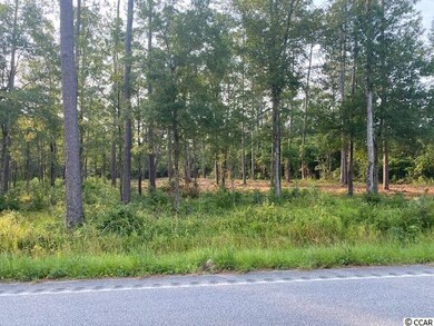 Lots 1-3 State Highway 65, Conway, SC 29526 - photo 2