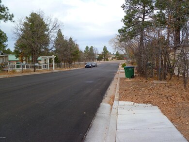 881 S 11th Dr unit 5, Show Low, AZ 85901 - photo 2