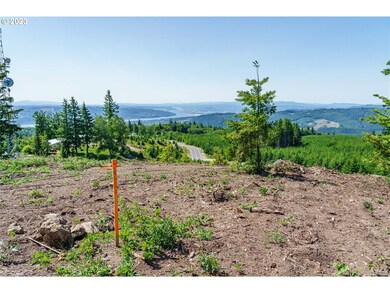 0 China Garden Rd unit A 23261722, Kalama, WA 98625 - photo 6