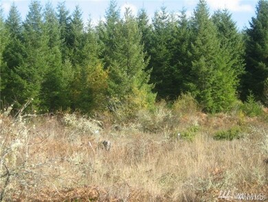 518 364th St E, Roy, WA 98580 - photo 4