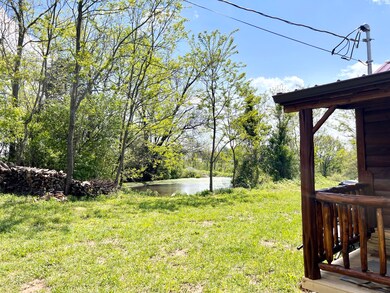 849 Mount Tabor Rd, Ewing, KY 41039 - photo 3