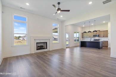 13518 Broadmore Ln, Olive Branch, MS 38654 - photo 3