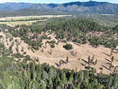 159 Buck, Hayfork, CA 96041 - photo 6