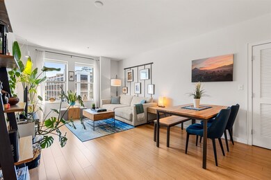 Audubon Park unit 505, Boston, MA 02215 - photo 5