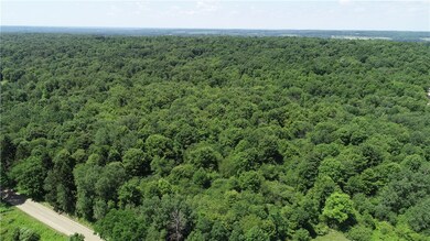 0 Agnew Rd, Conneautville, PA 16406 - photo 4