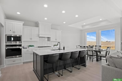 10705 S 219th Ave, Gretna, NE 68028 - photo 6