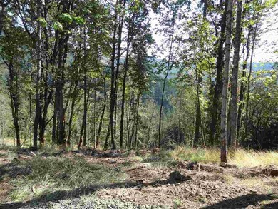 24845 Hidden Valley Rd, Philomath, OR 97370 - photo 2