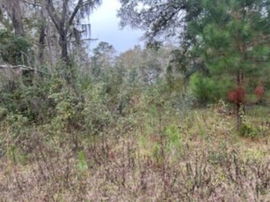 0 Moccasin Gap Rd unit 393441, Tallahassee, FL 32309 - photo 2