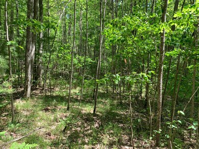 Lot 29 Whitetailed Deer Dr, Tomahawk, WI 54487 - photo 3