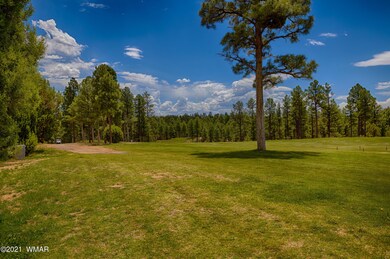 Bison Golf Course