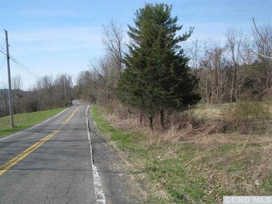 0 Howard Hall Rd unit 99023, Athens, NY 12015 - photo 2